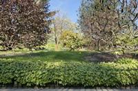 Cjp_2015_04_22_082142.jpg