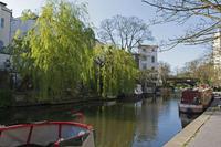 Cjp_2015_04_22_084620.jpg
