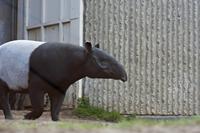 Cjp_2015_04_22_103652.jpg