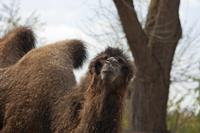 Cjp_2015_04_22_104542.jpg