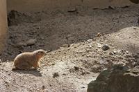 Cjp_2015_04_22_111504.jpg