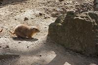 Cjp_2015_04_22_111606.jpg