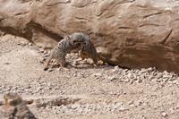 Cjp_2015_04_22_112642.jpg