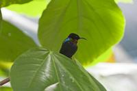 Cjp_2015_04_22_114046.jpg