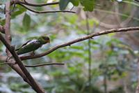 Cjp_2015_04_22_115232.jpg