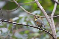 Cjp_2015_04_22_120144.jpg