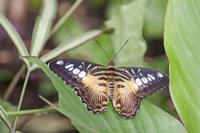 Cjp_2015_04_22_122658.jpg