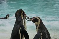 Cjp_2015_04_22_125346.jpg