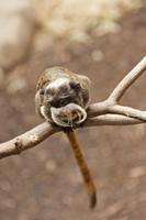Cjp_2015_04_22_132546.jpg