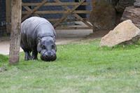 Cjp_2015_04_22_135308.jpg