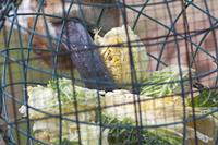 Cjp_2015_04_22_135718.jpg