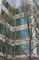 Cjp_2015_04_23_095522.jpg