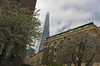 Cjp_2015_04_23_101926.jpg