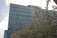 Cjp_2015_04_23_102110.jpg