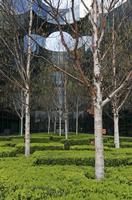 Cjp_2015_04_23_105058.jpg