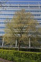 Cjp_2015_04_23_113930.jpg