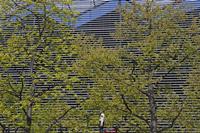 Cjp_2015_04_23_115546.jpg