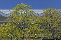 Cjp_2015_04_23_115610.jpg