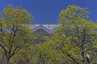 Cjp_2015_04_23_115626.jpg