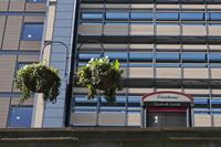 Cjp_2015_04_23_122418.jpg