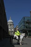 Cjp_2015_04_23_124916.jpg