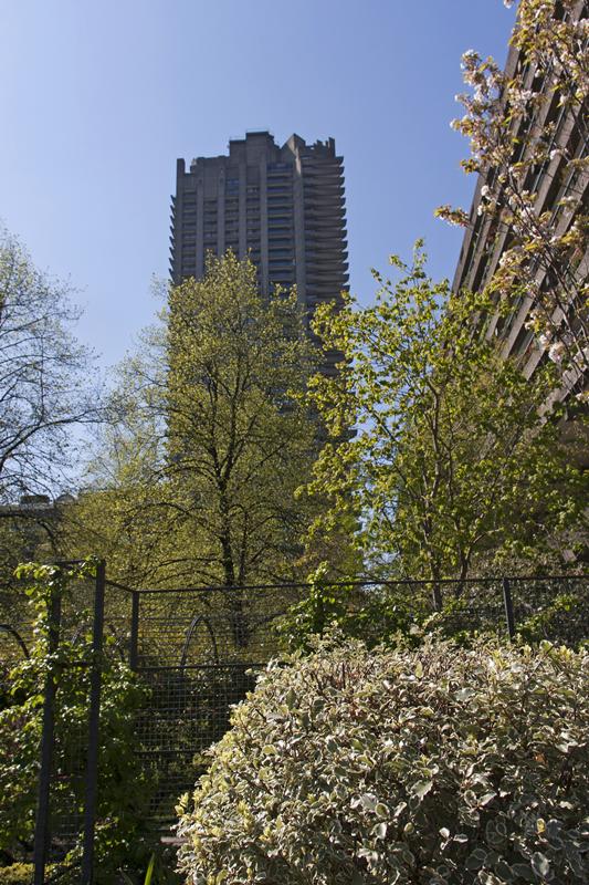 Cjp_2015_04_23_141156.jpg