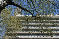 Cjp_2015_04_23_134706.jpg