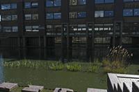 Cjp_2015_04_23_141718.jpg