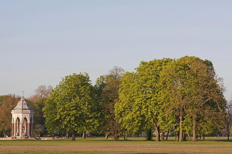 Cjp_2015_04_23_174236.jpg