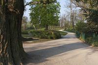 Cjp_2015_04_24_061228.jpg