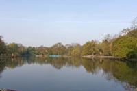 Cjp_2015_04_24_062728.jpg