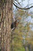 Cjp_2015_04_24_063950.jpg