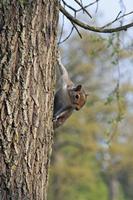 Cjp_2015_04_24_063952.jpg