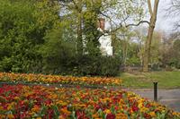 Cjp_2015_04_24_071040.jpg