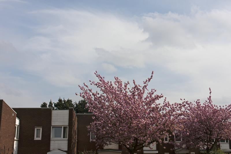 Cjp_2015_04_24_143222.jpg