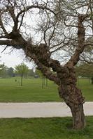Cjp_2015_04_24_072454.jpg