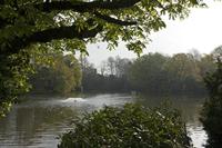 Cjp_2015_04_24_074752.jpg