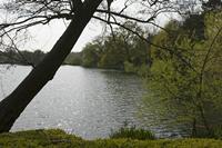 Cjp_2015_04_24_144200.jpg