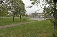 Cjp_2015_04_25_062512.jpg