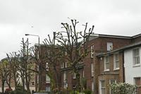Cjp_2015_04_25_064742.jpg
