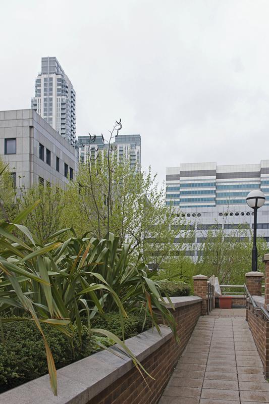 Cjp_2015_04_25_091904.jpg