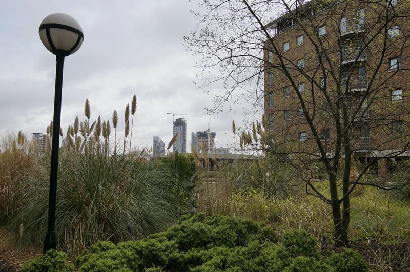 Cjp_2015_04_25_092338.jpg
