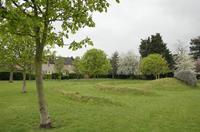 Cjp_2015_04_25_084628.jpg