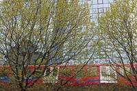 Cjp_2015_04_25_091236.jpg
