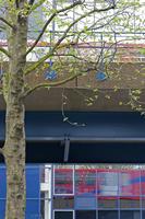 Cjp_2015_04_25_091424.jpg