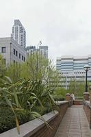 Cjp_2015_04_25_091904.jpg