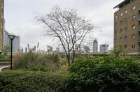 Cjp_2015_04_25_092324.jpg