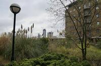 Cjp_2015_04_25_092338.jpg