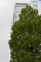 Cjp_2015_04_25_093844.jpg