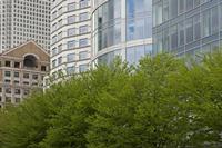 Cjp_2015_04_25_105818.jpg